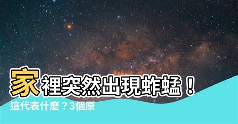 蚱蜢來家裡|【家裡突然出現蚱蜢】家裡突然出現蚱蜢？原來是這幾種原因！